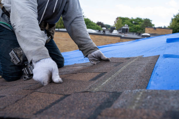 Best Residential Roofing Contractor  in Hampden Sydney, VA