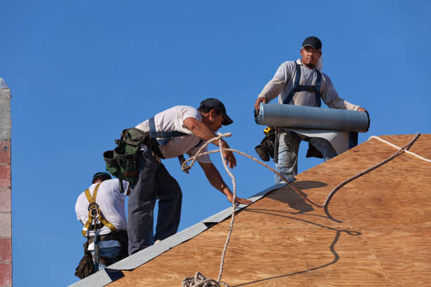 Best Best Roofing Contractors  in Hampden Sydney, VA
