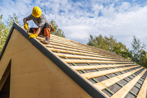Best Metal Roofing Contractor  in Hampden Sydney, VA