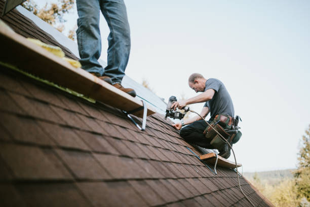 Best Commercial Roofing Services  in Hampden Sydney, VA